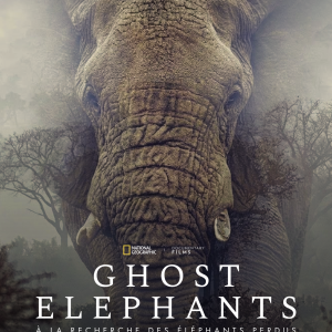 Ghost Elephants
