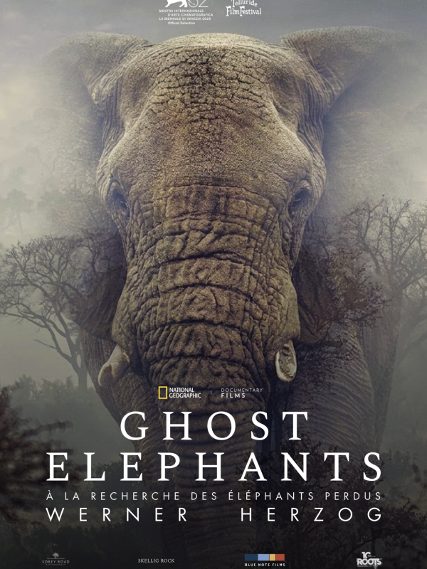 Ghost Elephants